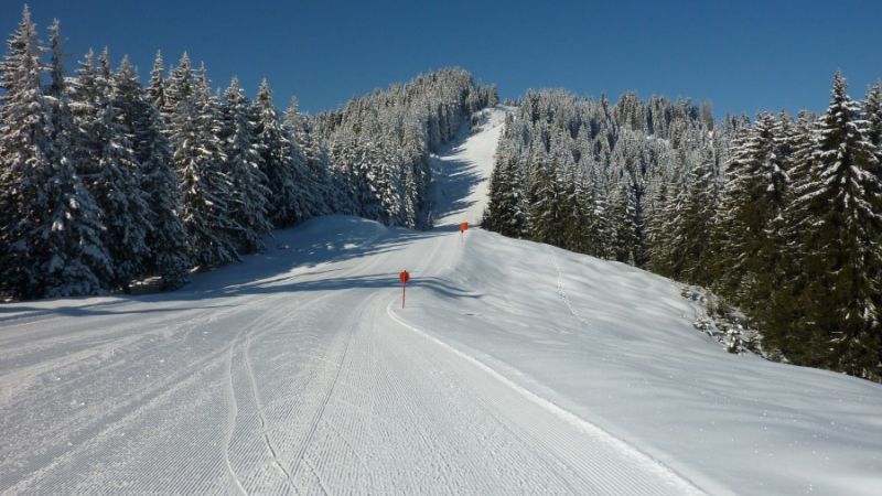 ski niederau