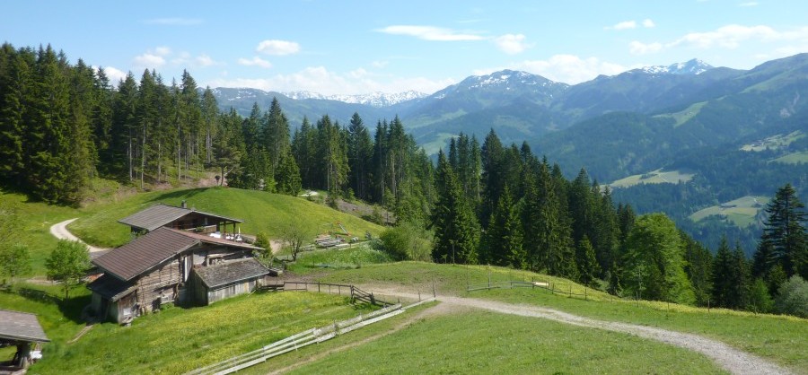 Wanderung Achentalalm mit Hund