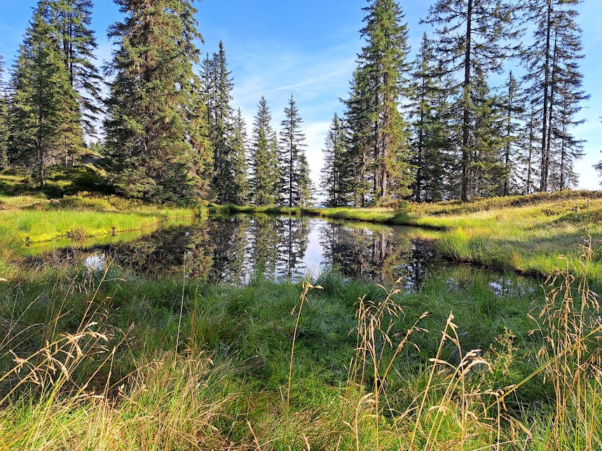 Urlaub in der Wildschönau in Tirol