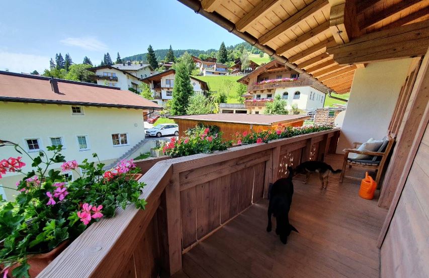 Wandern Hund Tirol