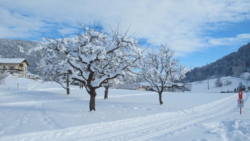 Langlaufen im Hochtal Wildschönau in Tirol