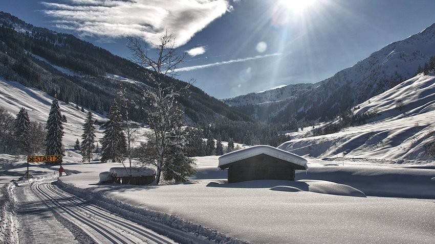 Höhenloipe Schönangeralm in der Wildschönau