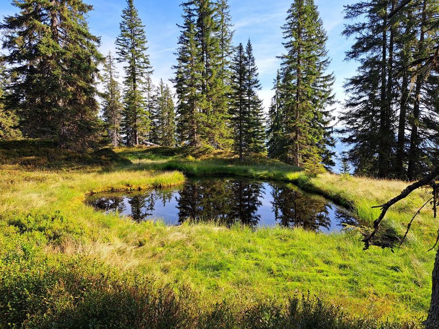 Wandern am Markbachjoch
