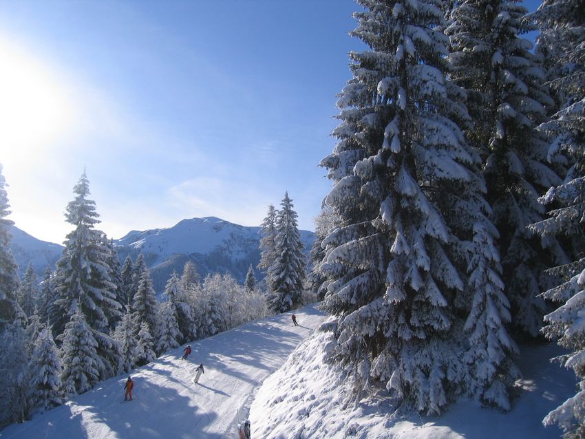 Traumhafte Pisten im Skigebiet Wildschönau