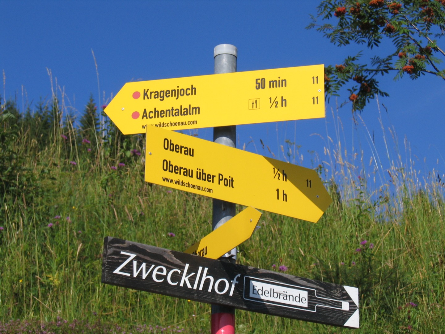 Wandern in der Wildschönau für Familien