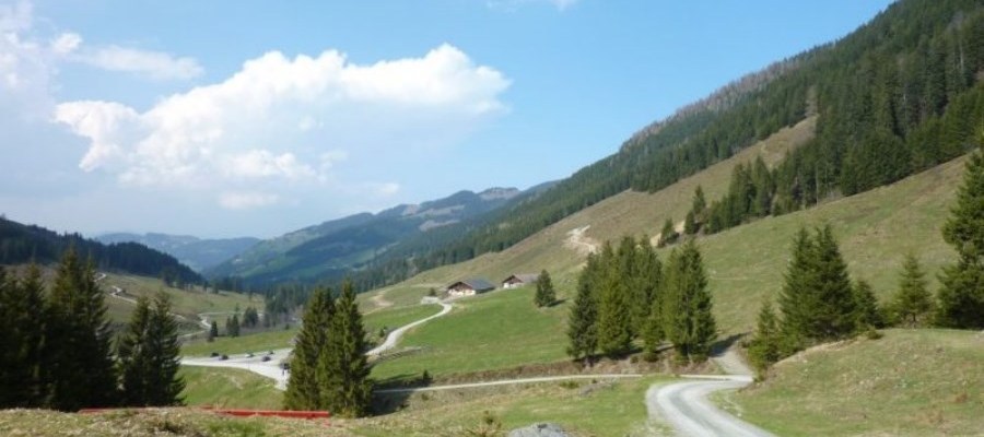 Geführtes Wandern zur Schönangeralm mit der Wildschönau Card