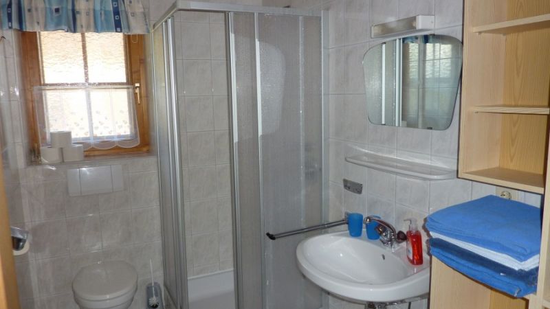 Ferienwohnung Balkon Wildschoenau Tirol c