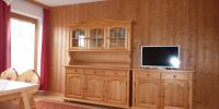 Ferienwohnung Balkon Wildschoenau Tirol f1