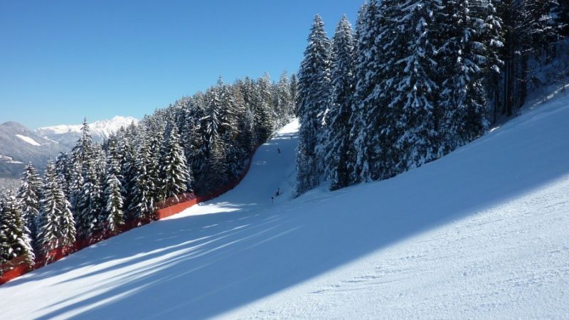 niederau skigebiet