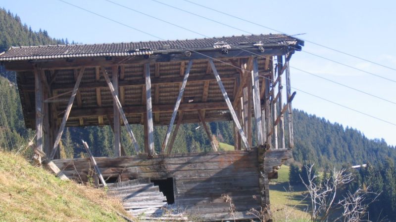 sommer wildschoenau