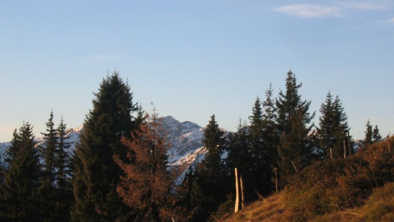 wandern tirol