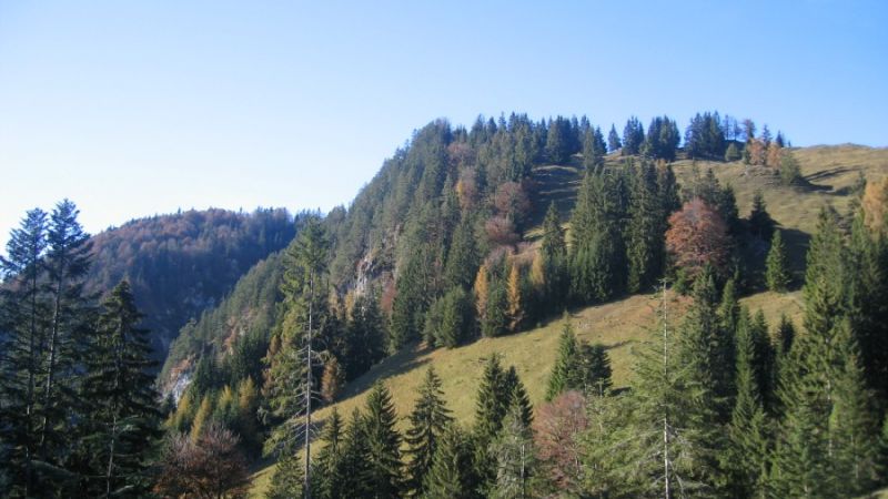 wanderungen wildschoenau tirol